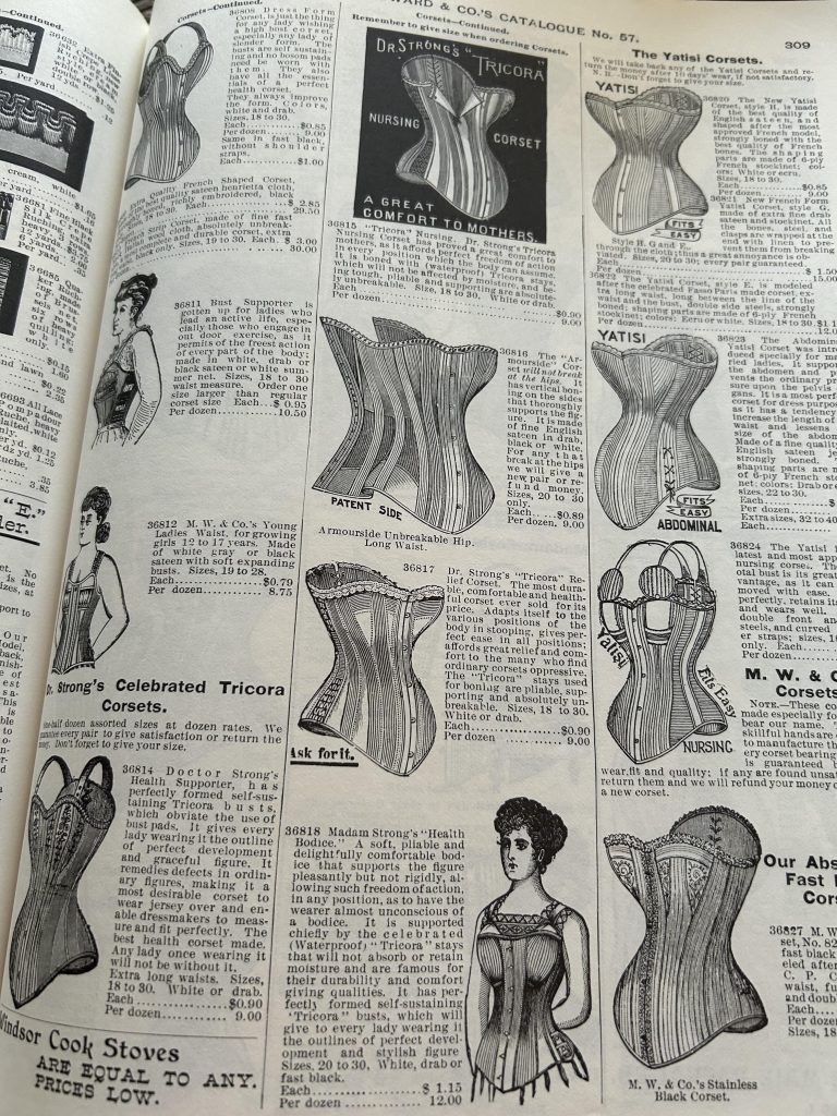 Sport corset, 1895  Corset fashion, Corsets and bustiers, Edwardian corsets